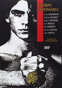 King of the Gypsies |   DVD